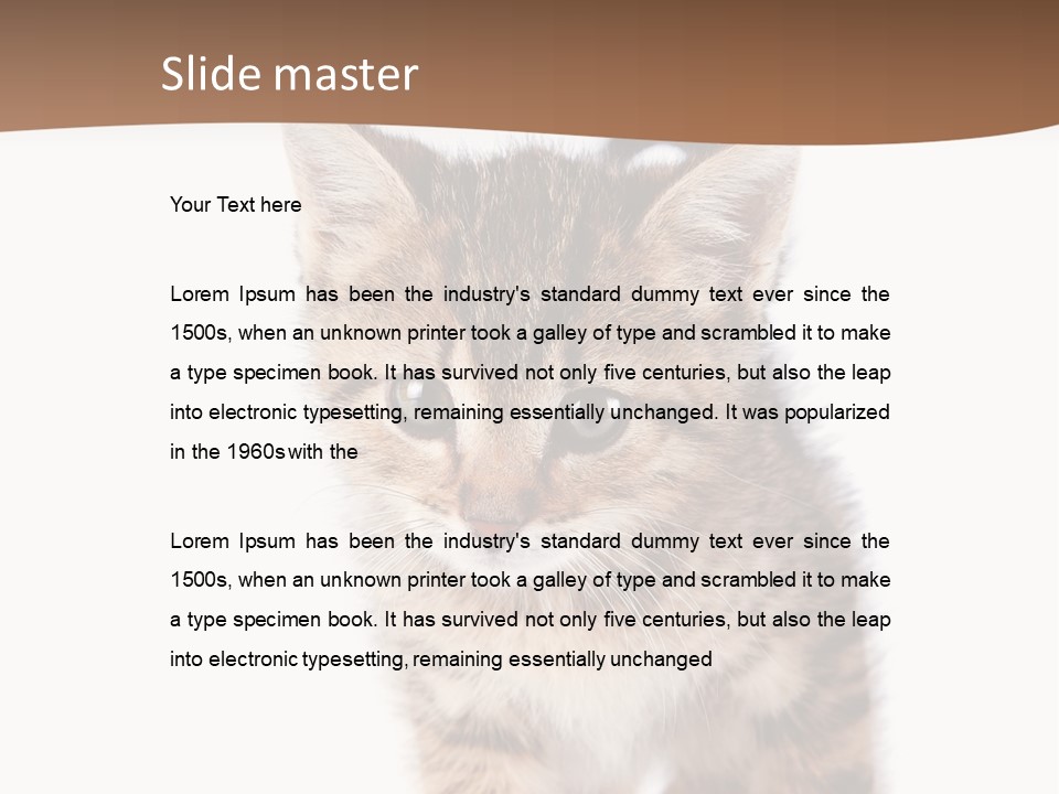 Elderly Senior Beach PowerPoint Template