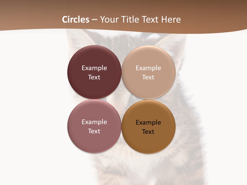 Elderly Senior Beach PowerPoint Template