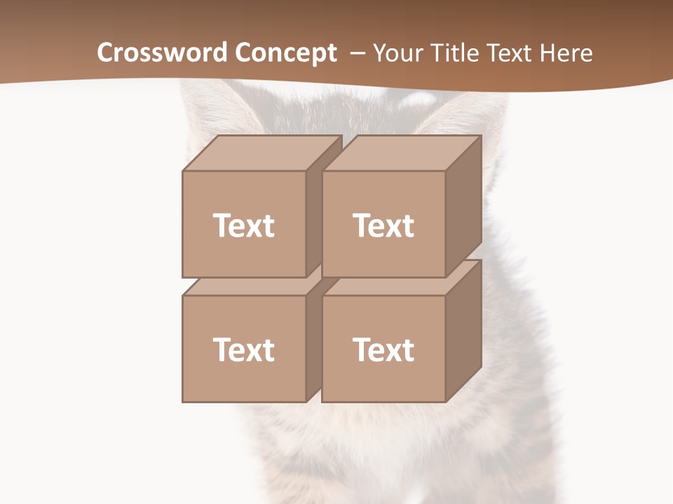 Elderly Senior Beach PowerPoint Template