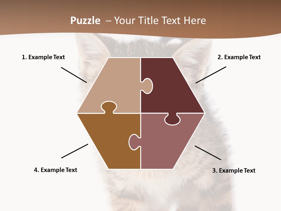 Elderly Senior Beach PowerPoint Template