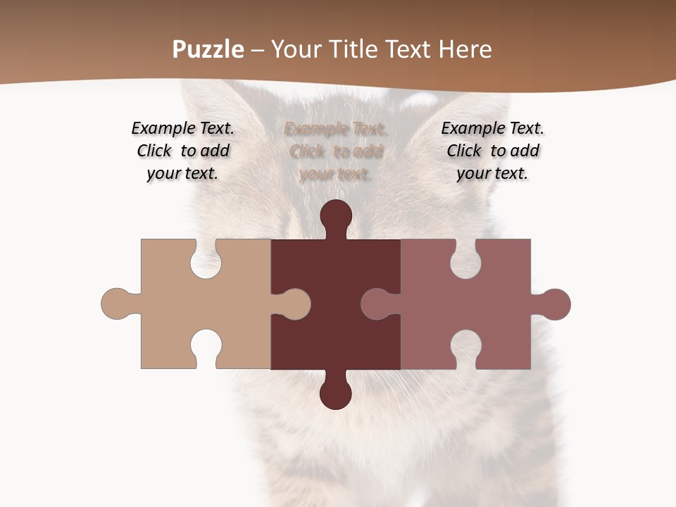 Elderly Senior Beach PowerPoint Template