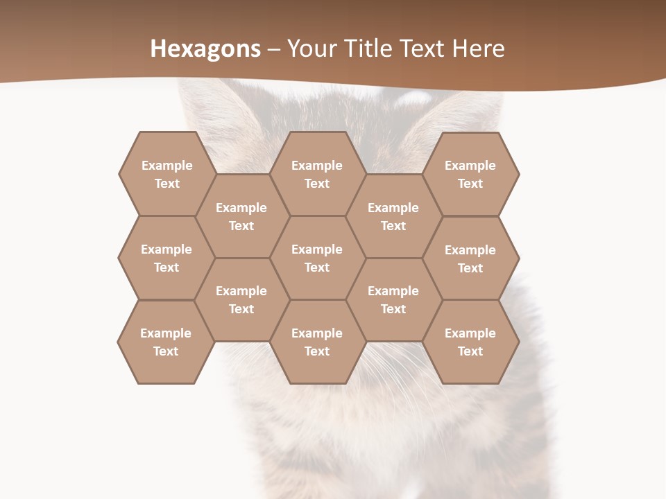 Elderly Senior Beach PowerPoint Template