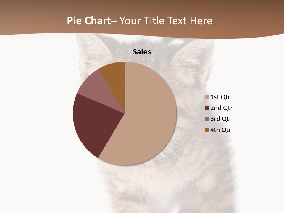 Elderly Senior Beach PowerPoint Template