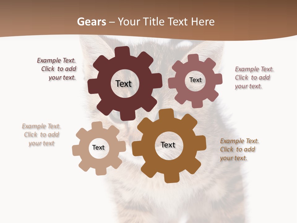 Elderly Senior Beach PowerPoint Template