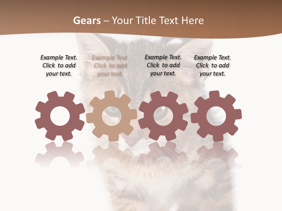 Elderly Senior Beach PowerPoint Template