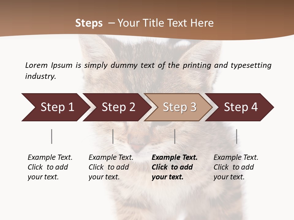 Elderly Senior Beach PowerPoint Template