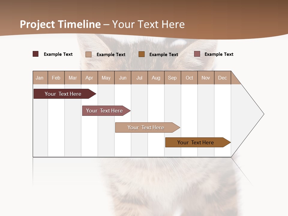 Elderly Senior Beach PowerPoint Template