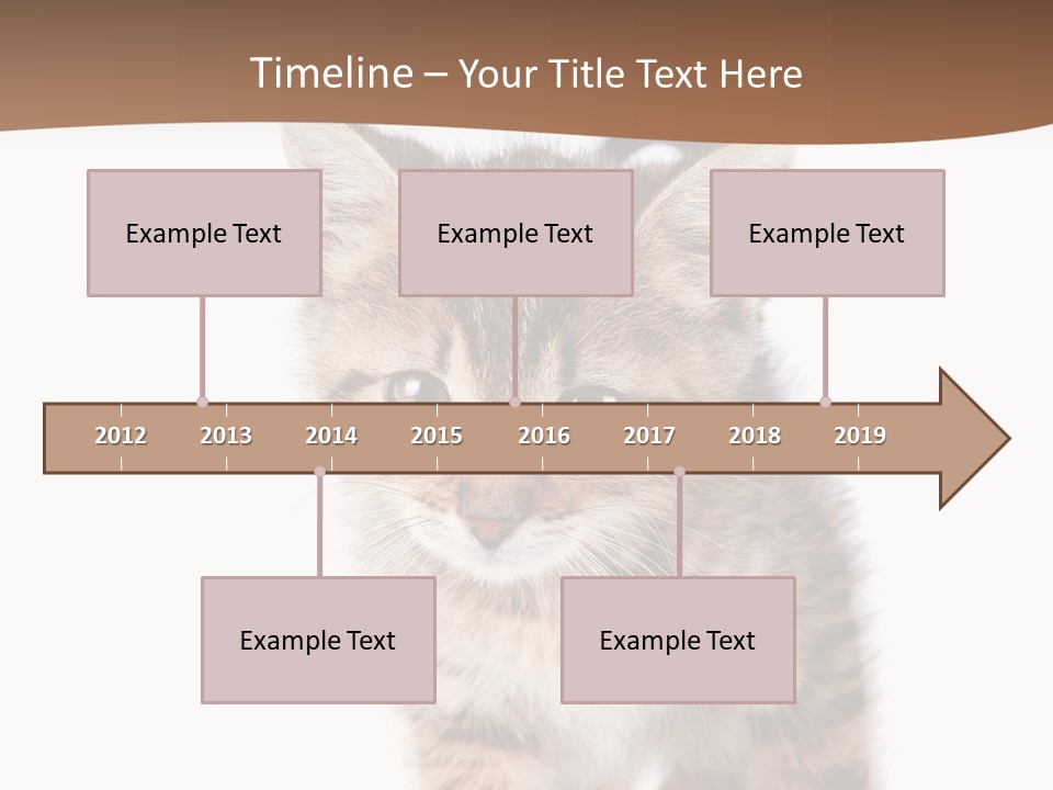 Elderly Senior Beach PowerPoint Template