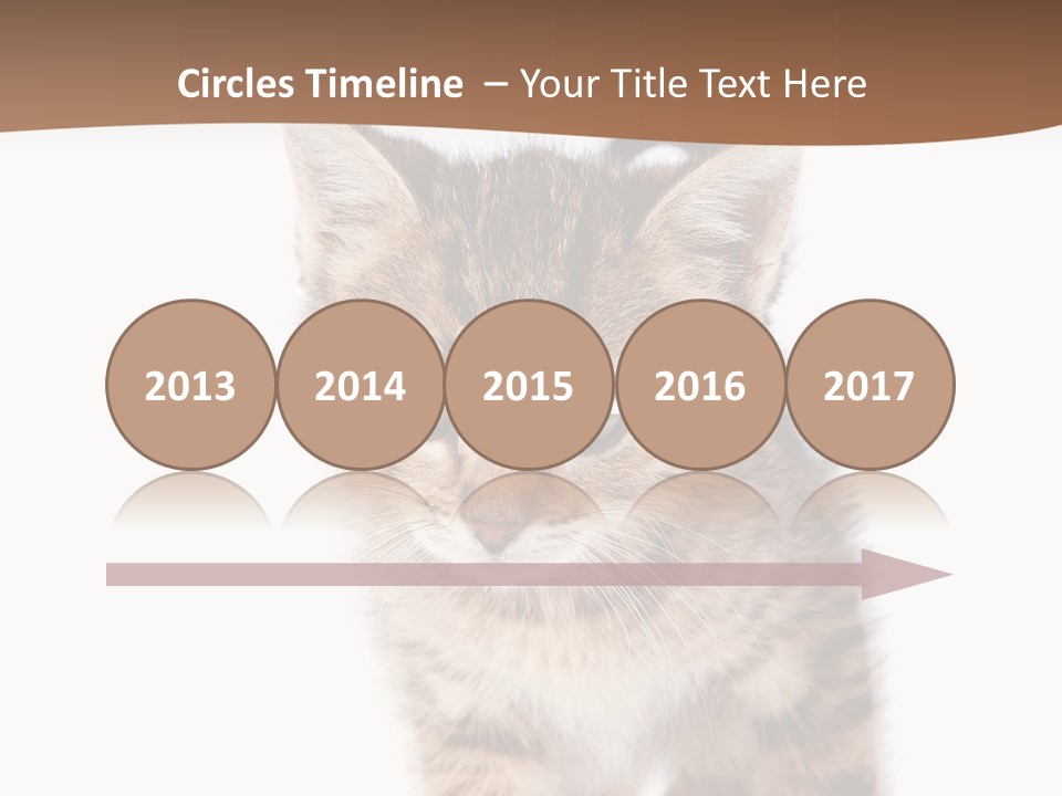 Elderly Senior Beach PowerPoint Template