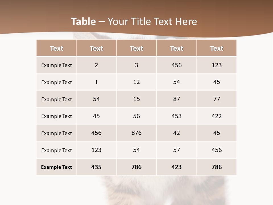 Elderly Senior Beach PowerPoint Template