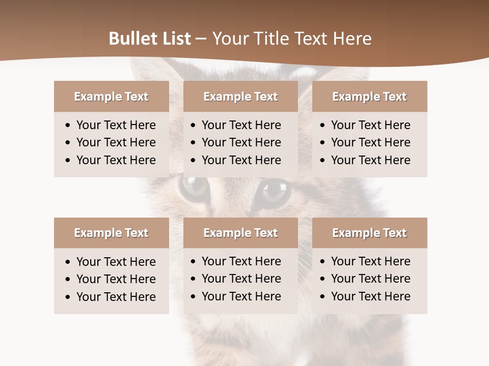 Elderly Senior Beach PowerPoint Template