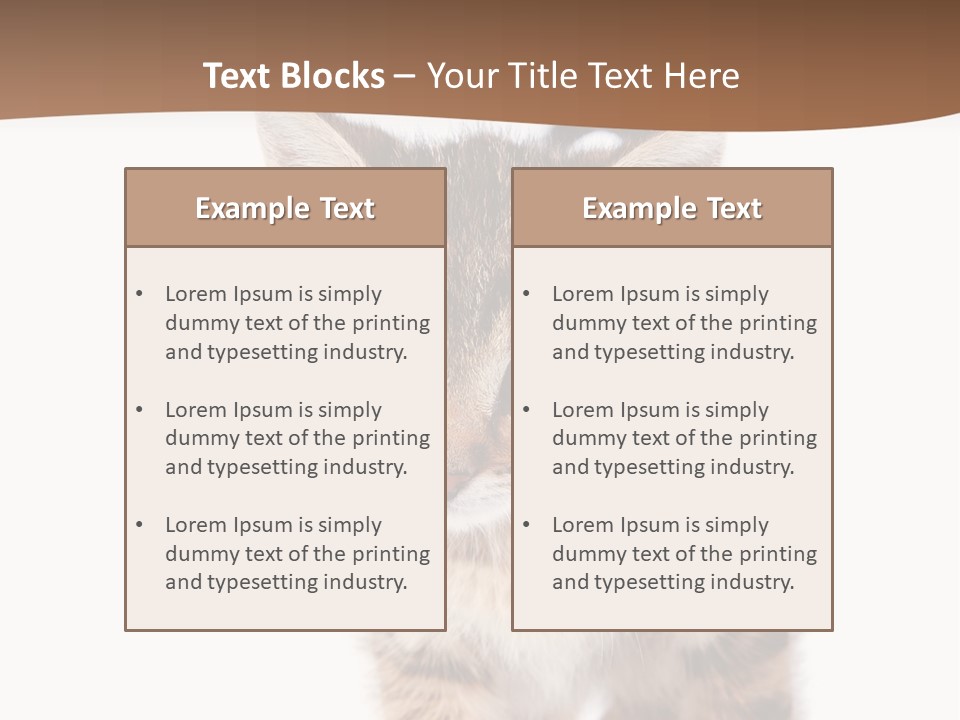 Elderly Senior Beach PowerPoint Template