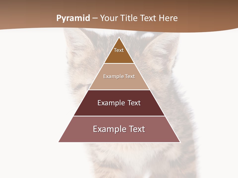 Elderly Senior Beach PowerPoint Template