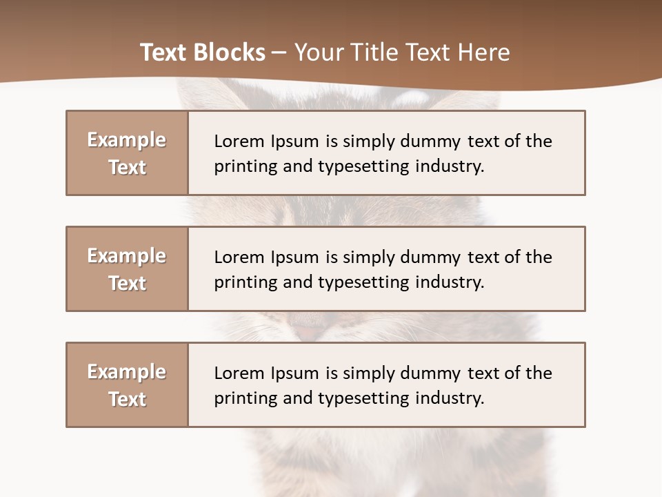Elderly Senior Beach PowerPoint Template