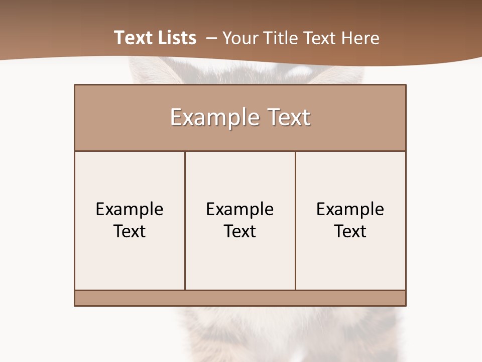 Elderly Senior Beach PowerPoint Template