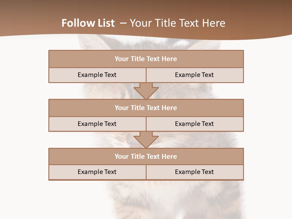 Elderly Senior Beach PowerPoint Template