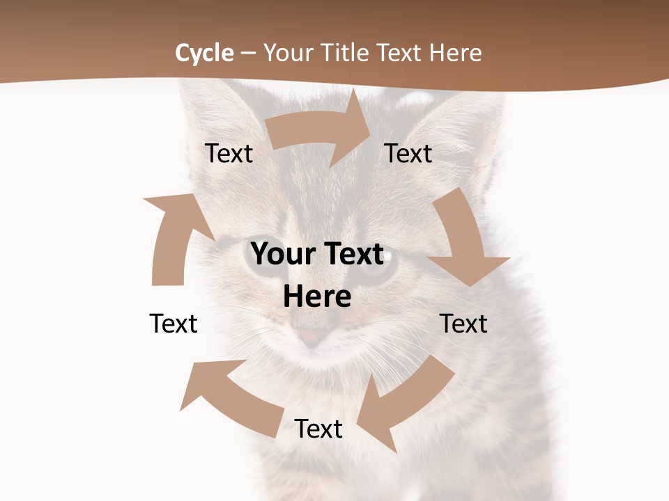 Elderly Senior Beach PowerPoint Template