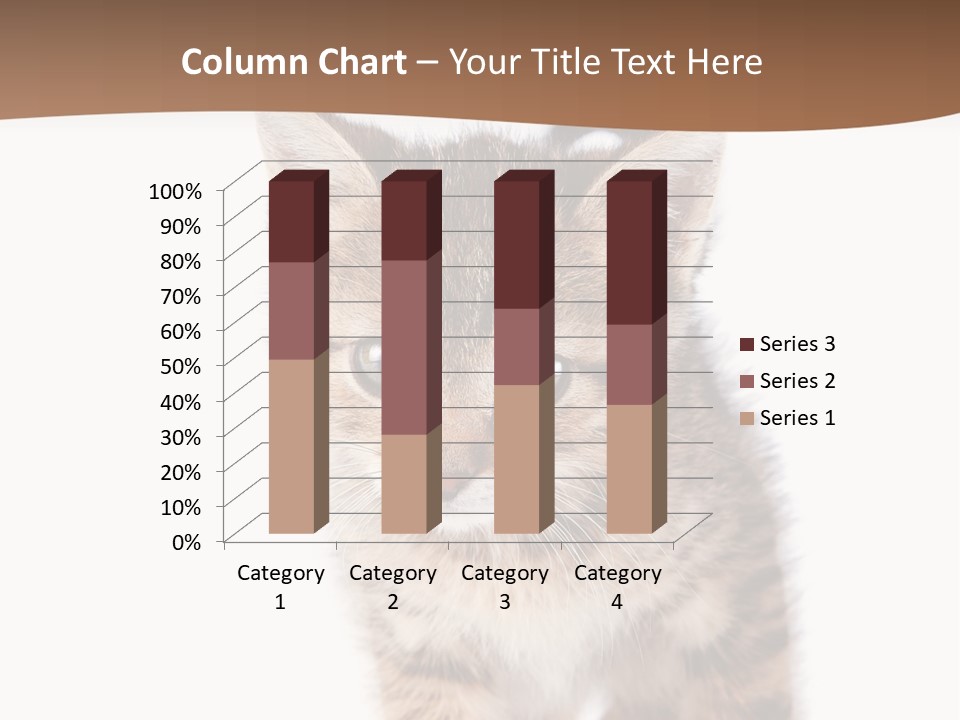 Elderly Senior Beach PowerPoint Template