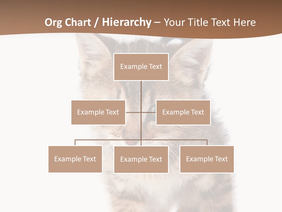 Elderly Senior Beach PowerPoint Template