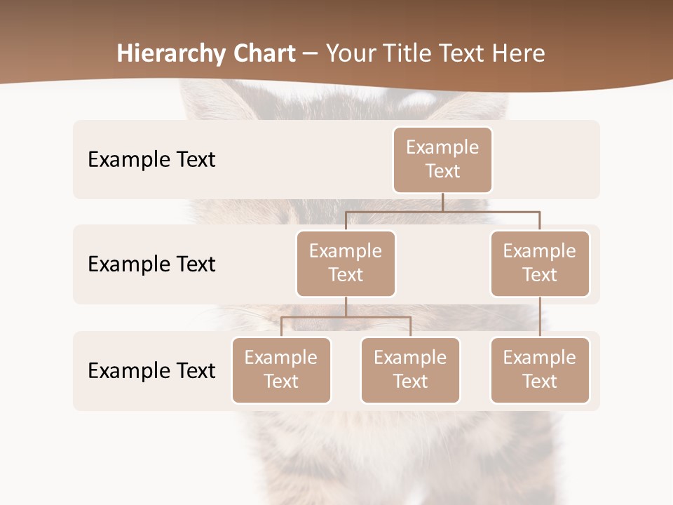 Elderly Senior Beach PowerPoint Template
