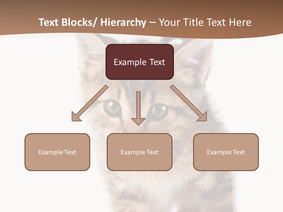 Elderly Senior Beach PowerPoint Template