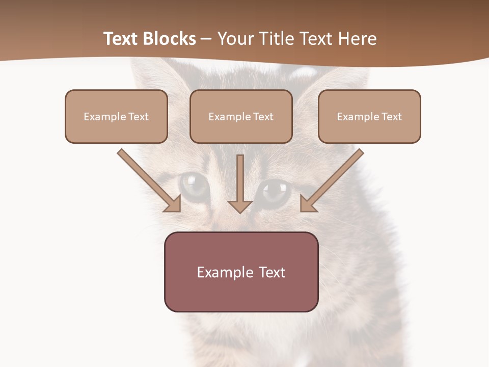 Elderly Senior Beach PowerPoint Template