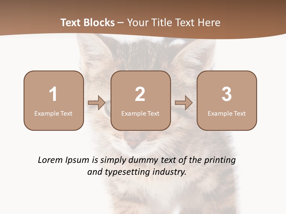 Elderly Senior Beach PowerPoint Template