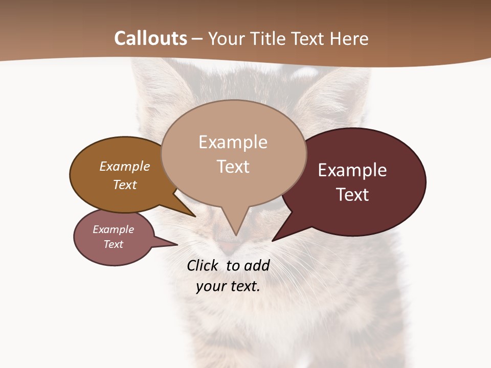 Elderly Senior Beach PowerPoint Template