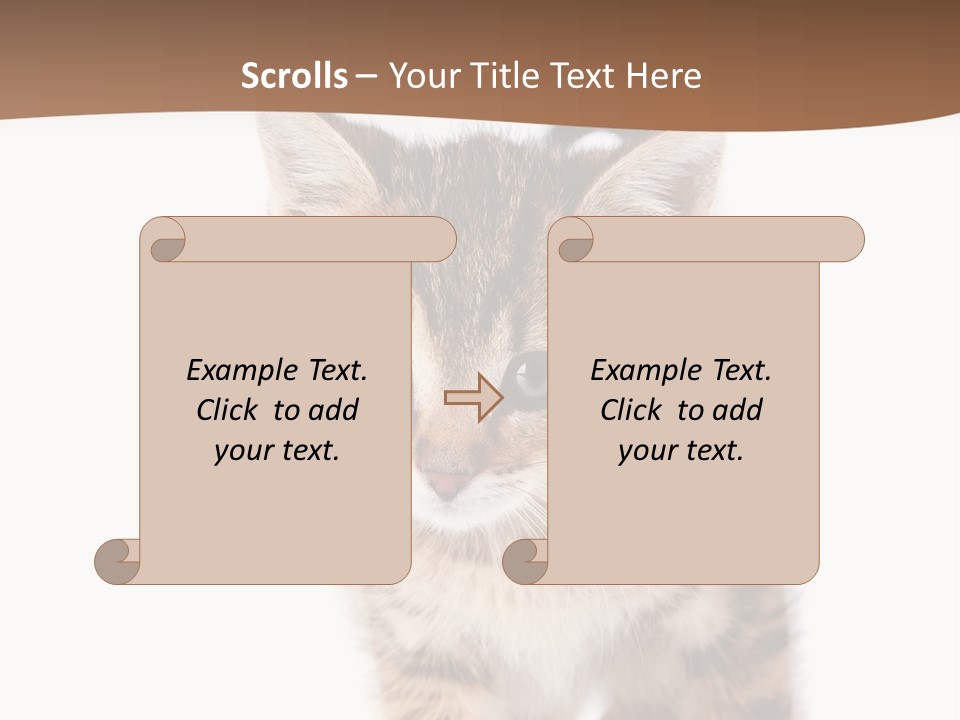 Elderly Senior Beach PowerPoint Template