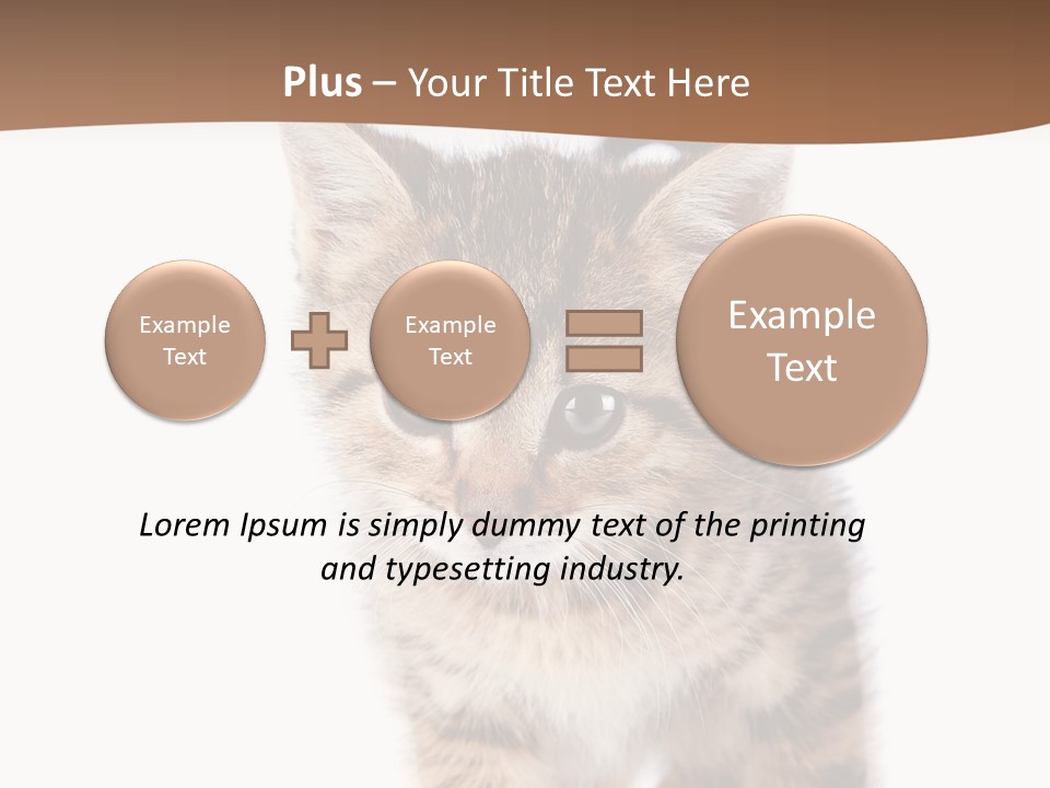 Elderly Senior Beach PowerPoint Template