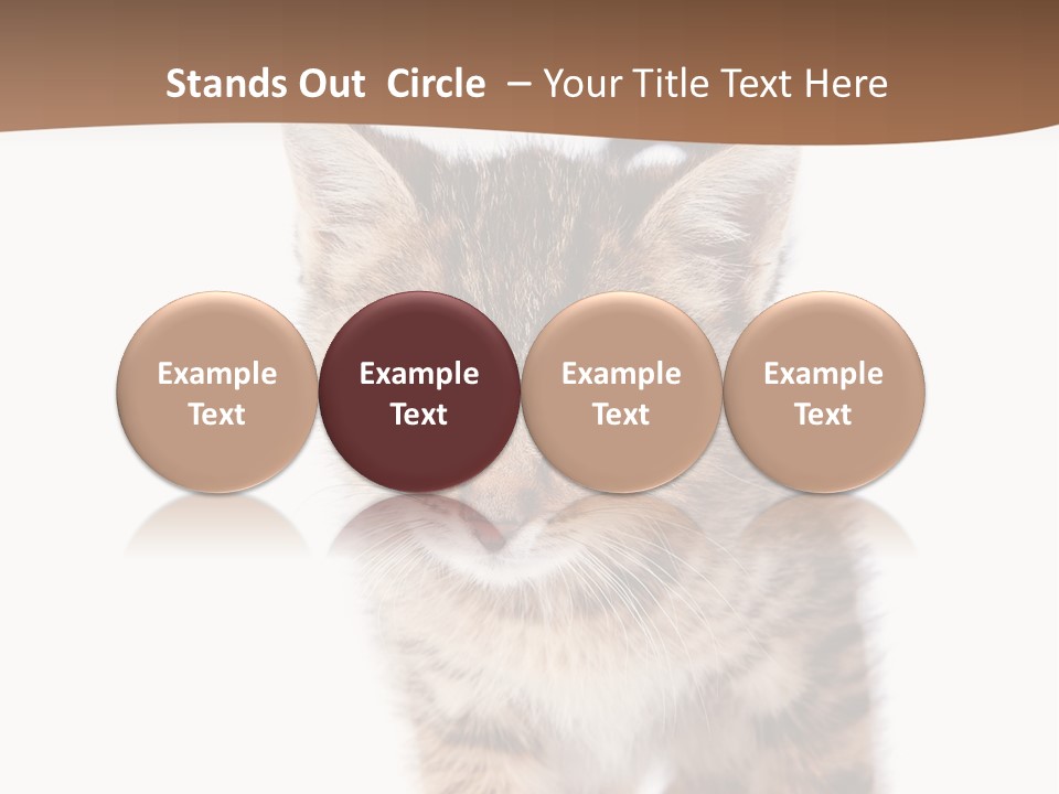 Elderly Senior Beach PowerPoint Template