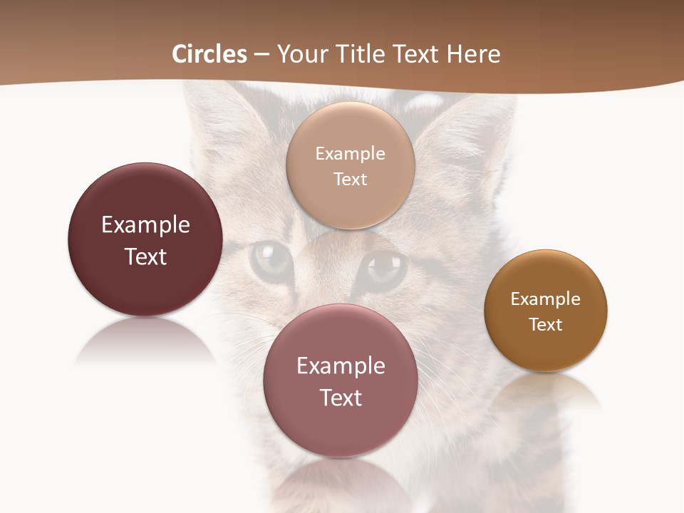 Elderly Senior Beach PowerPoint Template