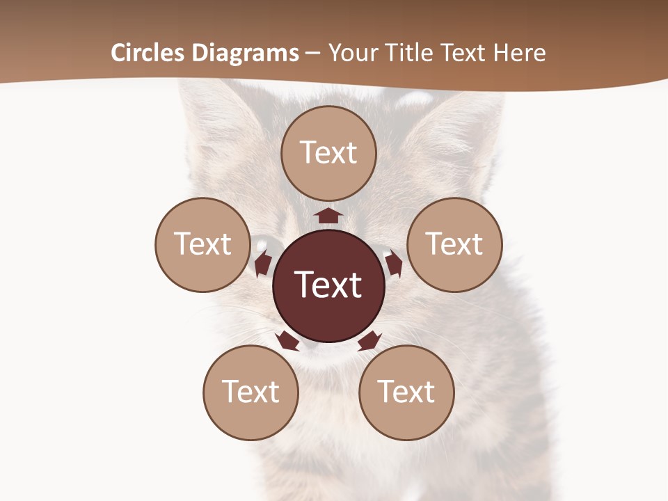 Elderly Senior Beach PowerPoint Template