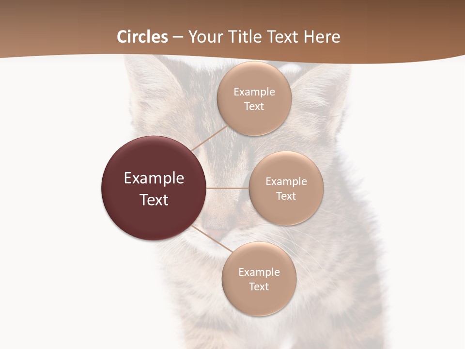 Elderly Senior Beach PowerPoint Template