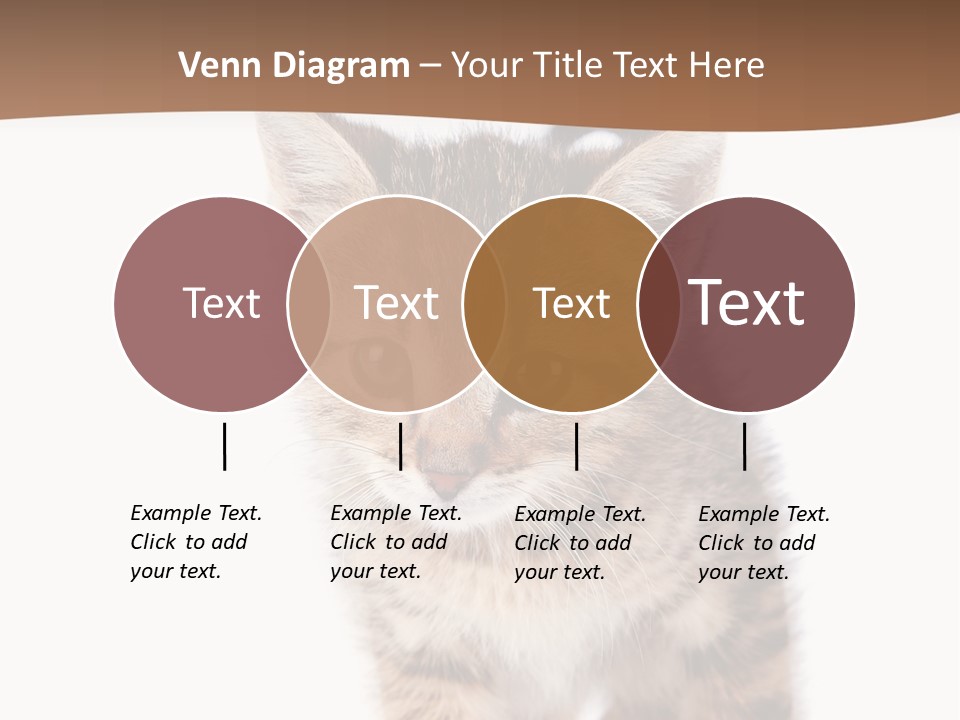 Elderly Senior Beach PowerPoint Template