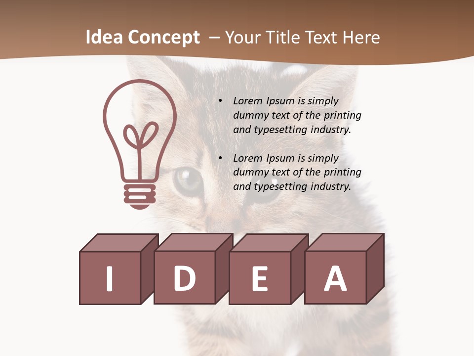 Elderly Senior Beach PowerPoint Template