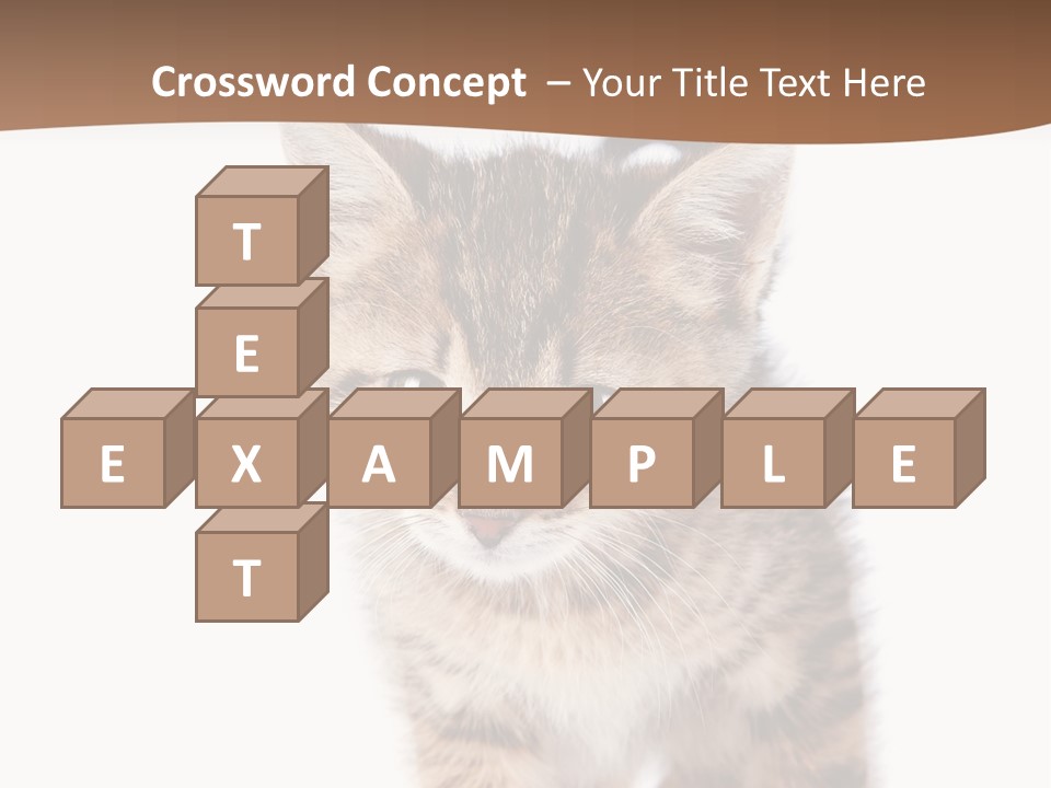 Elderly Senior Beach PowerPoint Template