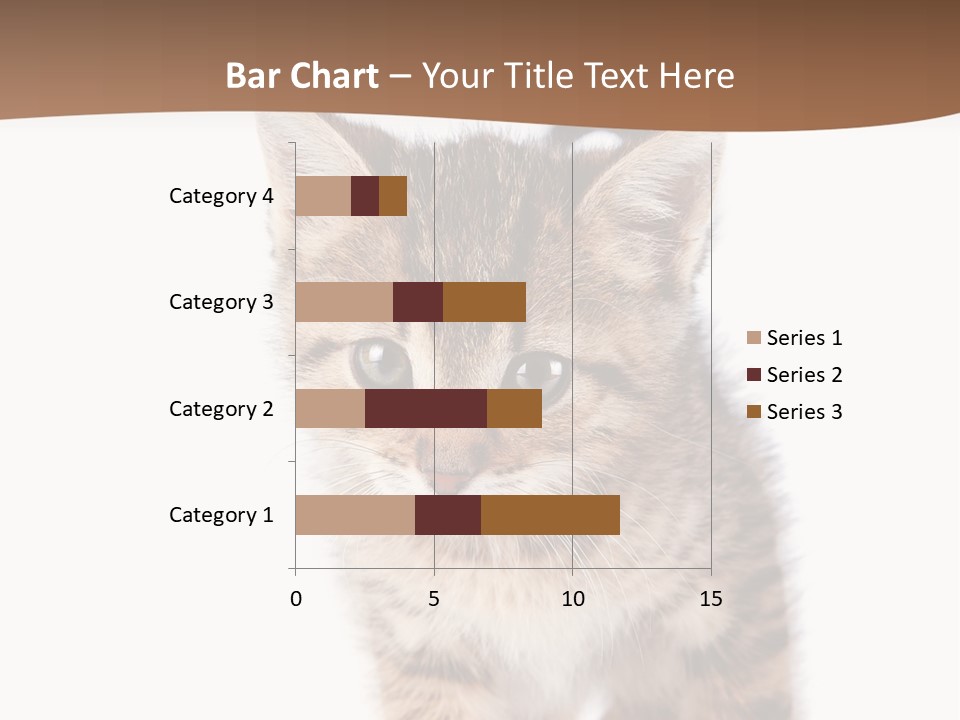 Elderly Senior Beach PowerPoint Template