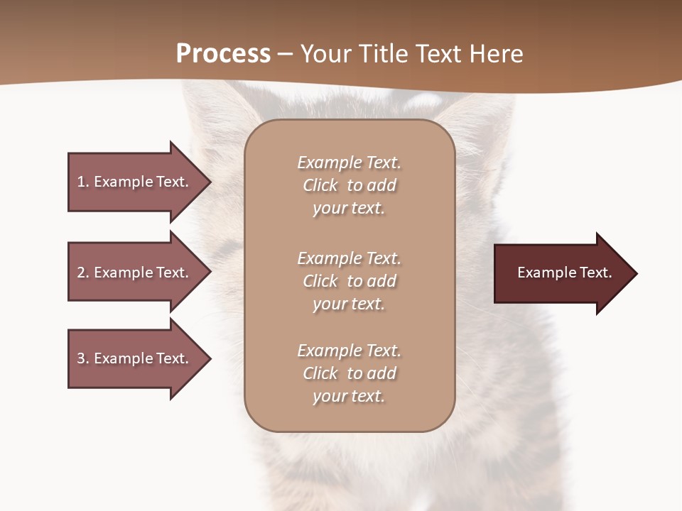 Elderly Senior Beach PowerPoint Template