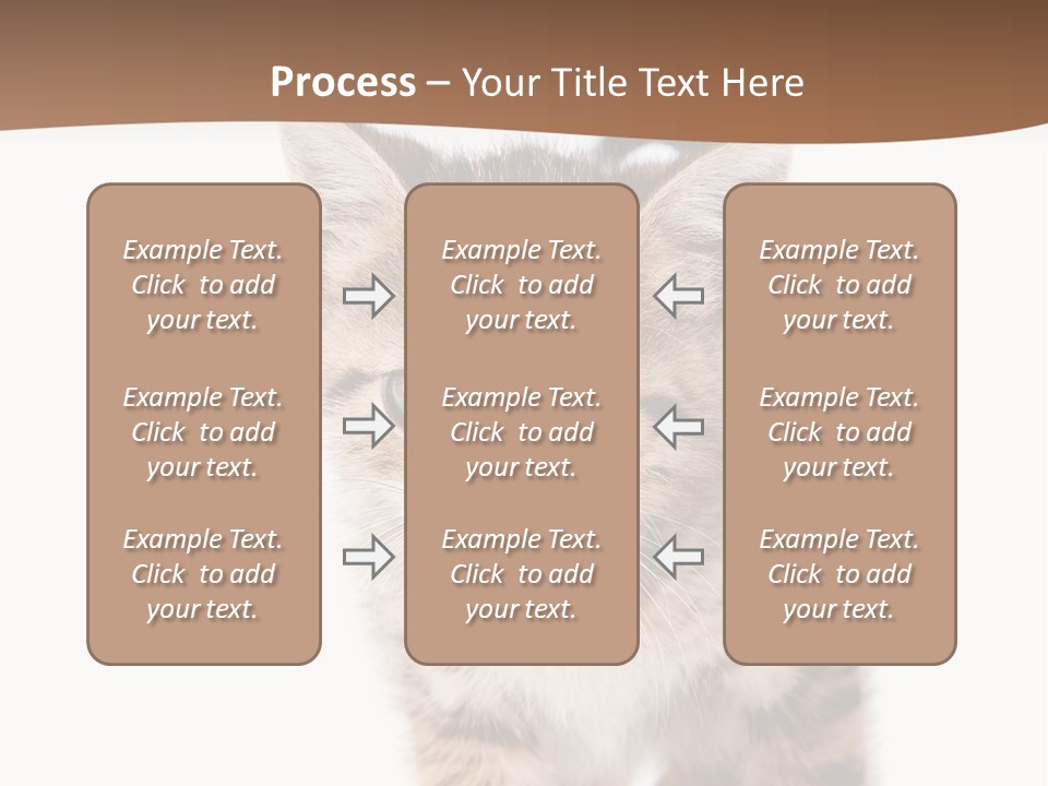 Elderly Senior Beach PowerPoint Template