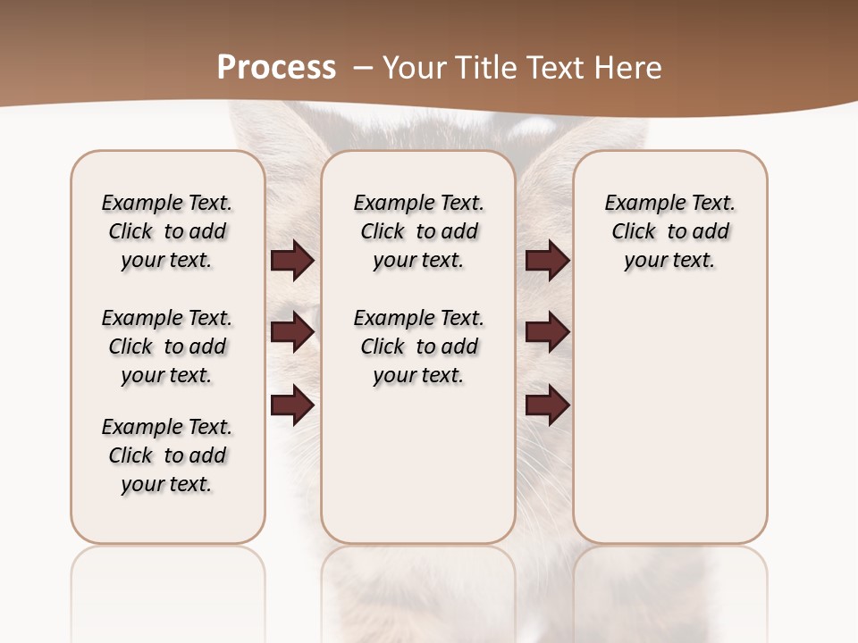 Elderly Senior Beach PowerPoint Template