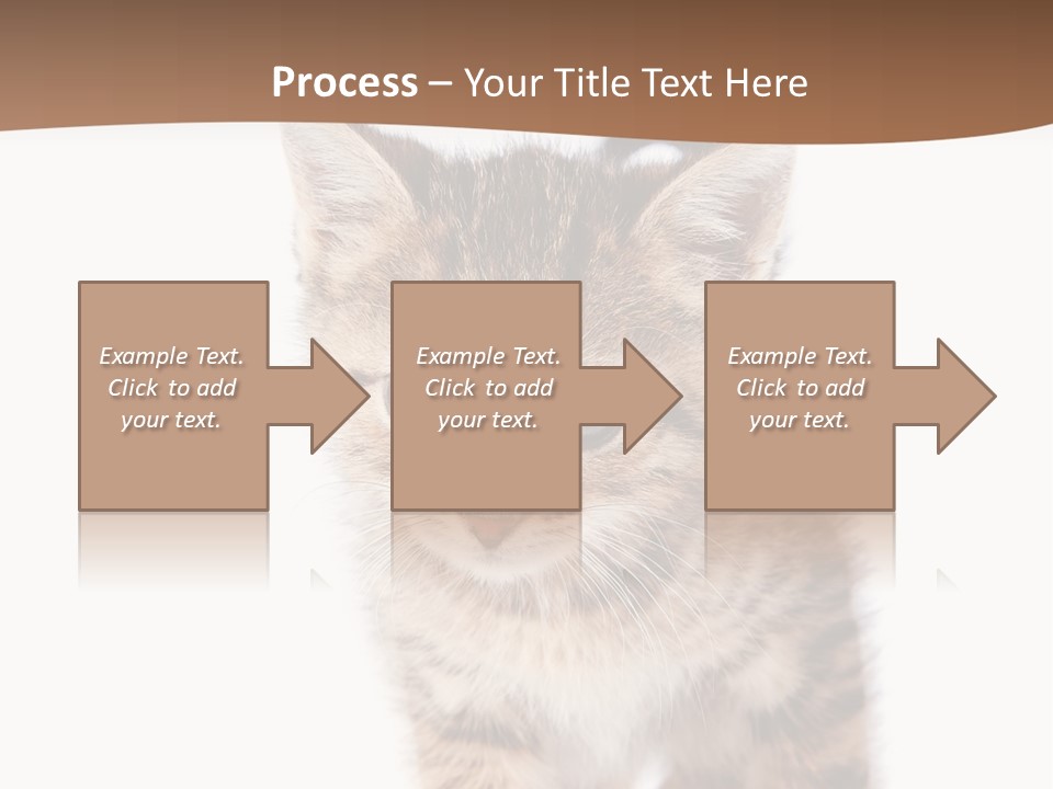 Elderly Senior Beach PowerPoint Template