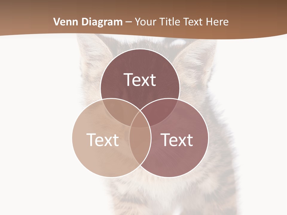 Elderly Senior Beach PowerPoint Template