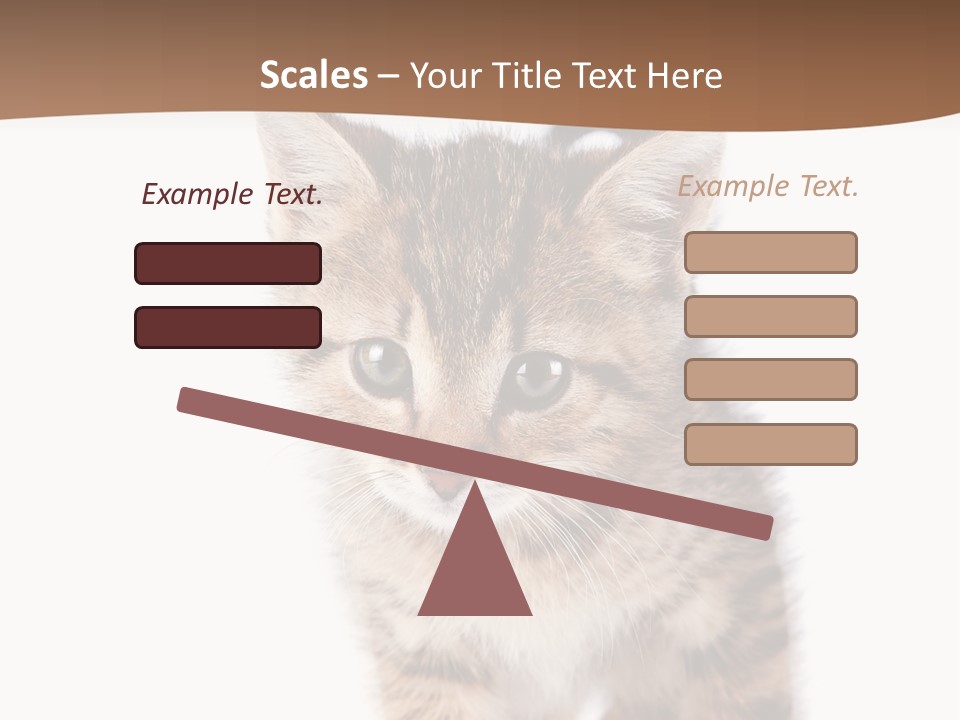 Elderly Senior Beach PowerPoint Template