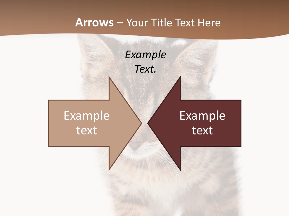 Elderly Senior Beach PowerPoint Template