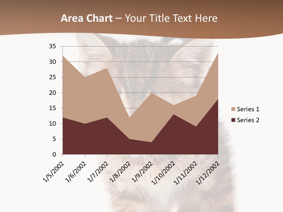 Elderly Senior Beach PowerPoint Template