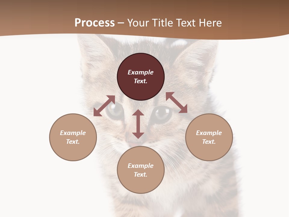 Elderly Senior Beach PowerPoint Template