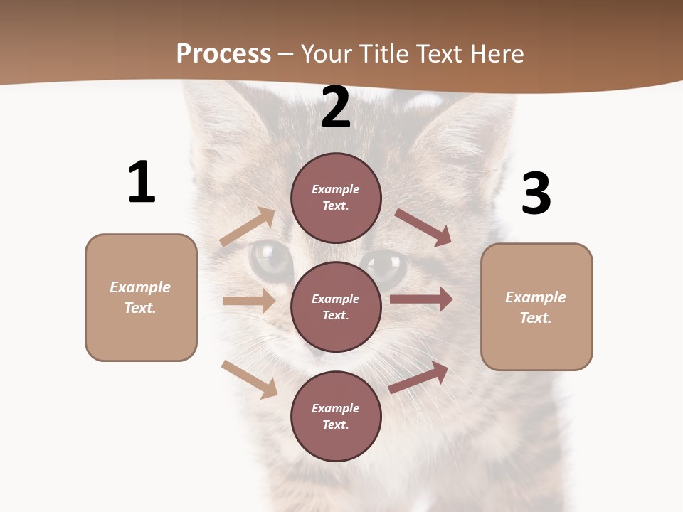 Elderly Senior Beach PowerPoint Template