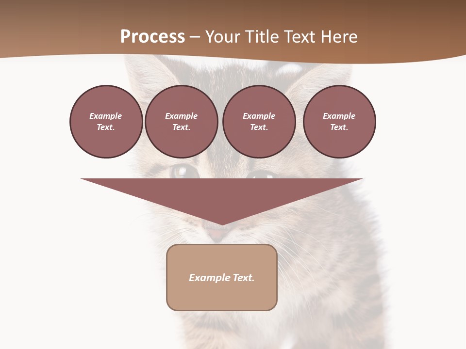 Elderly Senior Beach PowerPoint Template