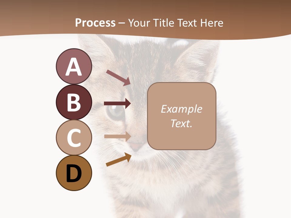 Elderly Senior Beach PowerPoint Template